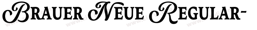 Brauer Neue Regular字体转换 Brauer Neue Regular字体转换